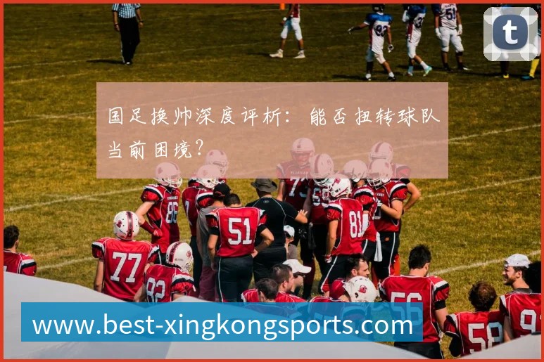 企业概况